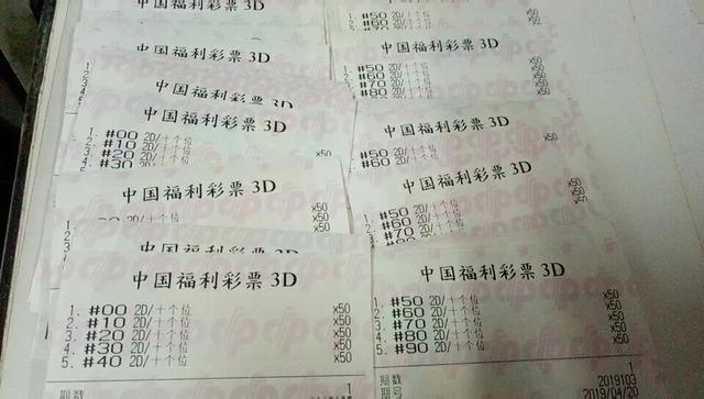 3D彩票，探索近1024期开奖结果的奥秘