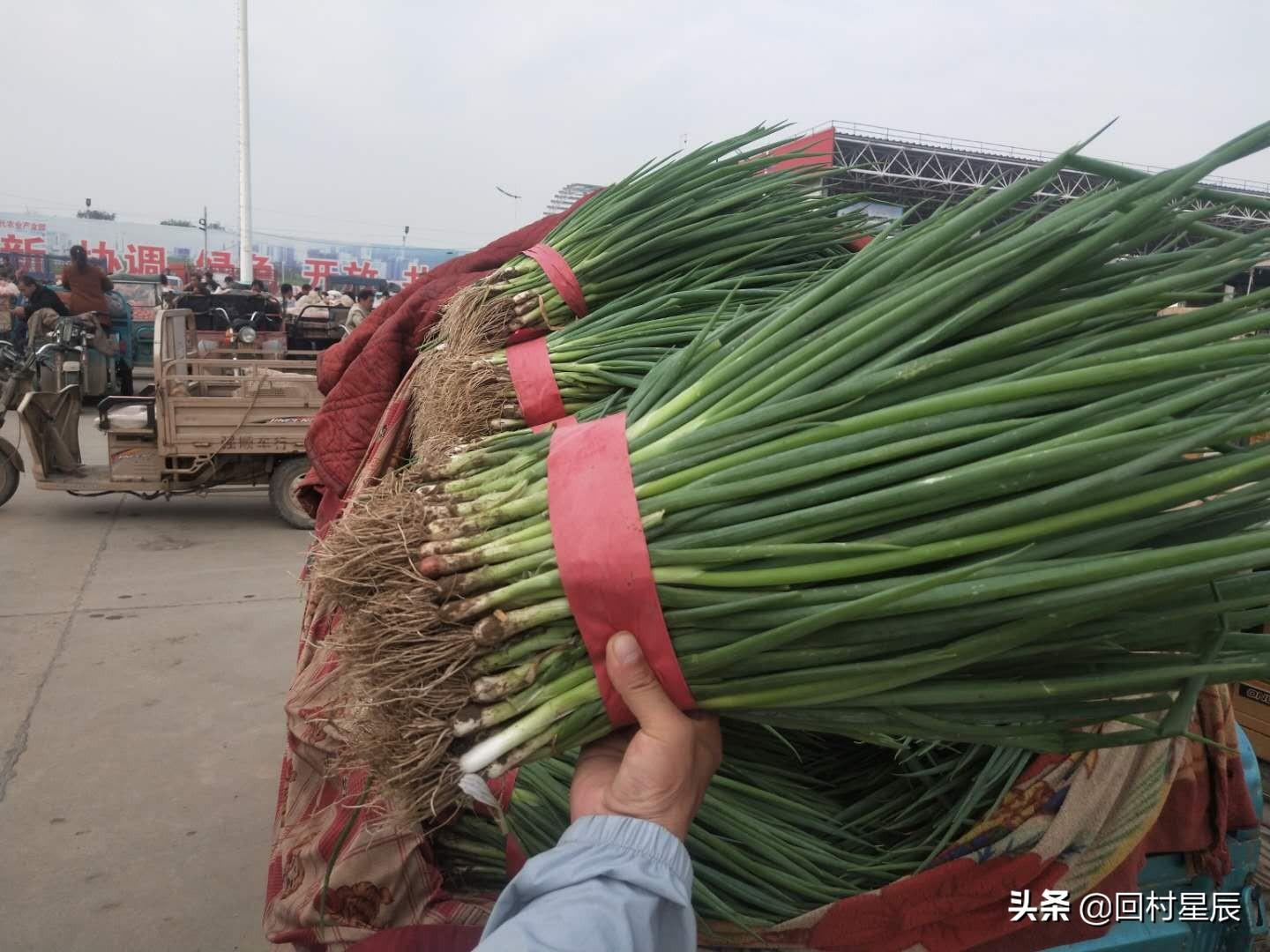 黑白图 第276页