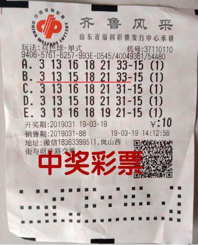 揭秘双色球专家精准预测号的背后逻辑与实战技巧