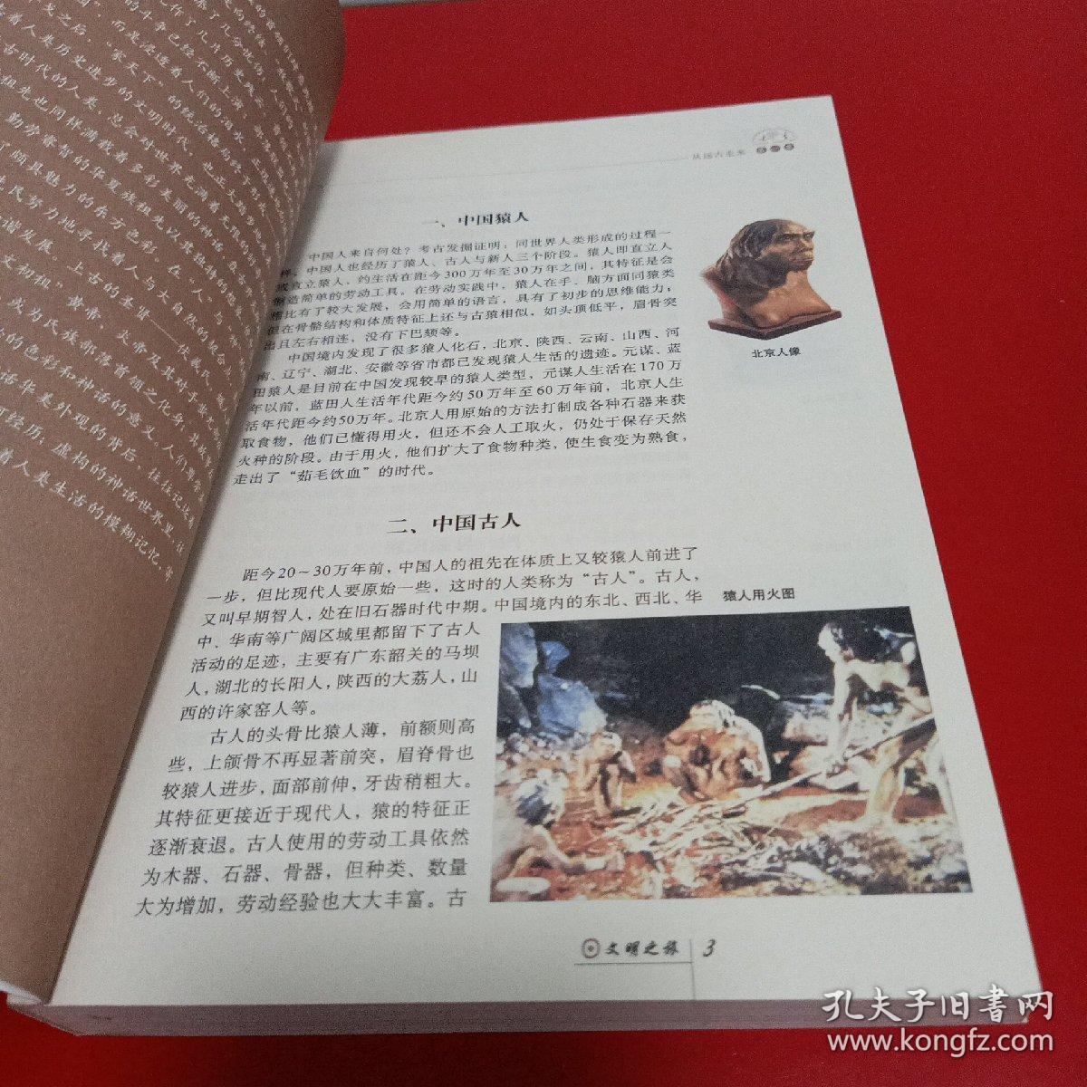 七星彩梦册，解码与查询的奇幻之旅