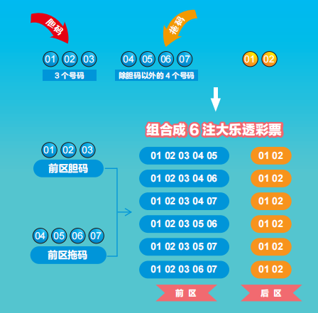 15选3胆拖计算器，解锁彩票投注的智慧之钥