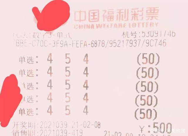 揭秘中国福利彩票双色球第137期开奖结果，幸运的数字与梦想的实现