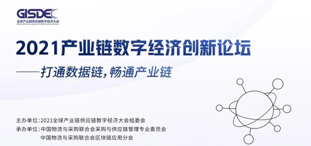 2031年，南方双彩网——三维数字世界的创新与挑战