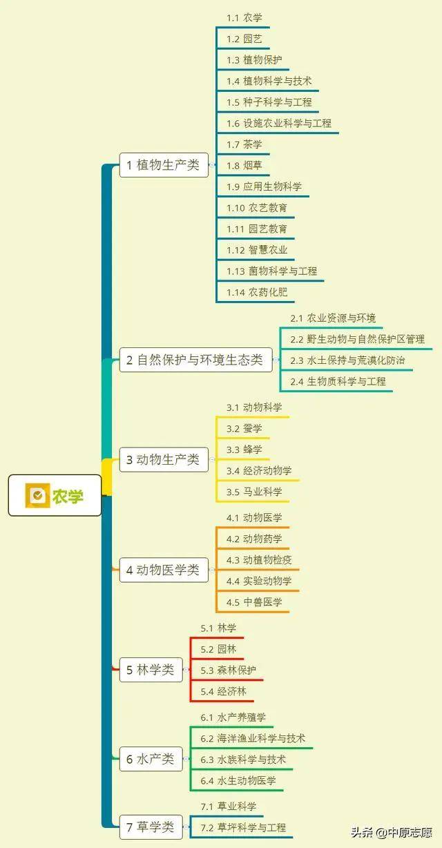 排五走势图带连线，专业玩家的必备工具