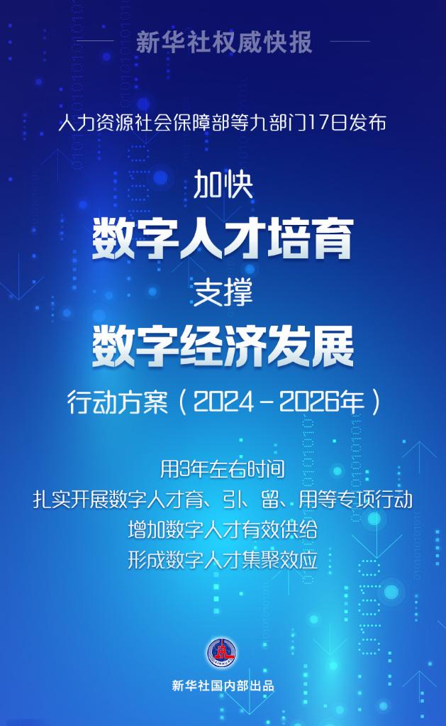 彩票新闻网，揭秘数字背后的幸运与智慧