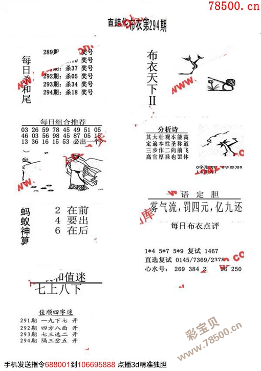 福彩真精华，布衣123456的智慧启示
