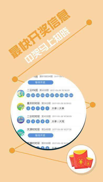 揭秘493,067，王中王的神秘开奖结果