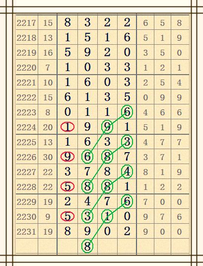 七星彩开奖号码查询，新浪彩票的便捷与透明