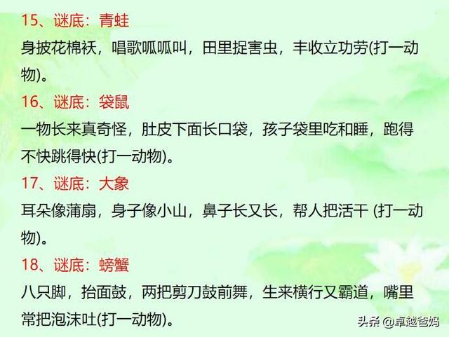谜语大全儿童合集，智慧与乐趣的奇妙碰撞