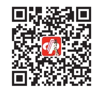 揭秘南粤风采36选7，一场数字与梦想的较量