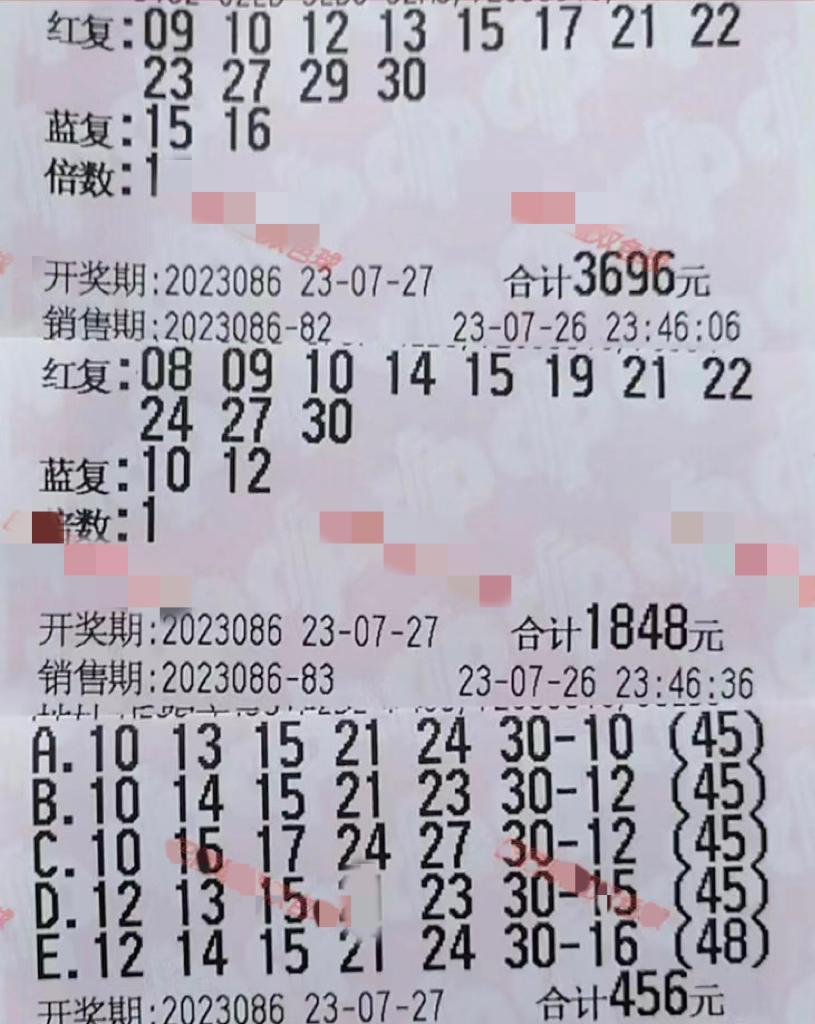 探索双色球胆拖投注的奥秘，一份详尽查询表指南