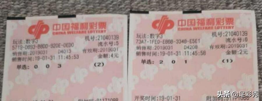 探索双色球中奖号的奇妙之旅，3D查询的奥秘