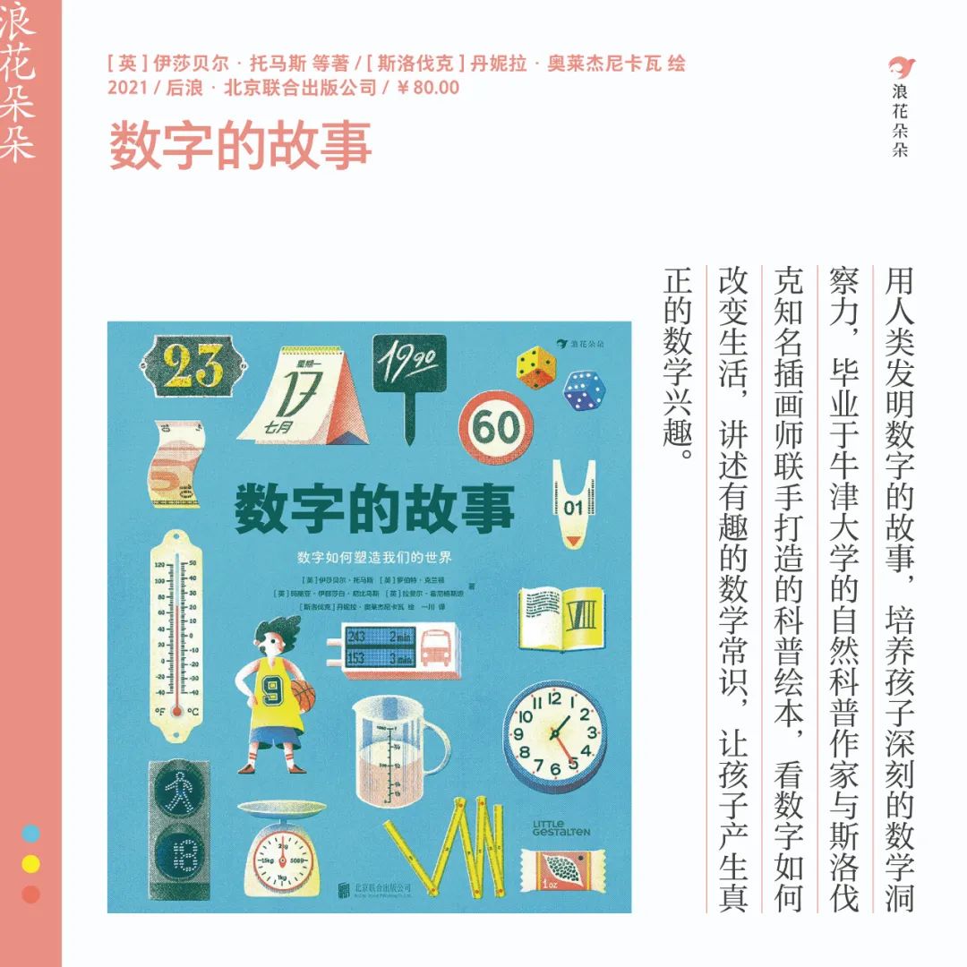 探索数字背后的奥秘，03、17与25的交织，以及从小开始的非凡旅程