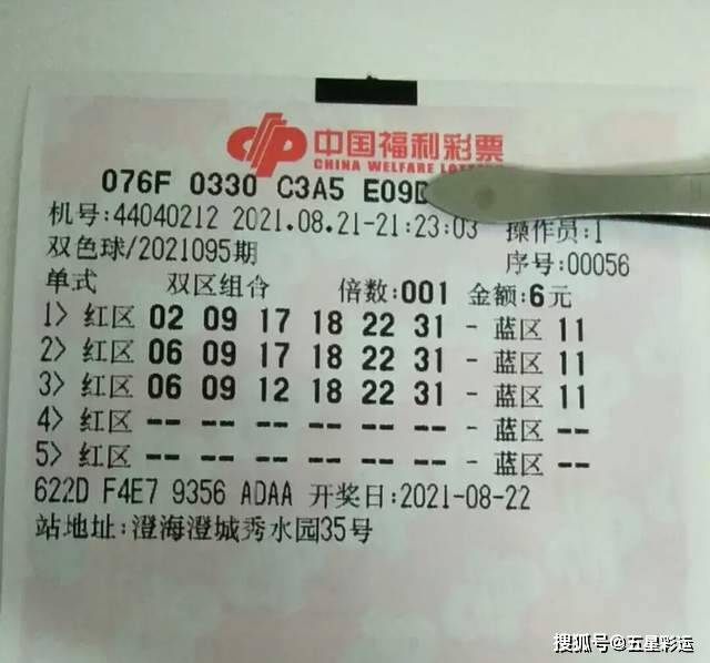 2041年双色球第39期开奖号码，幸运的数字与梦想成真的瞬间