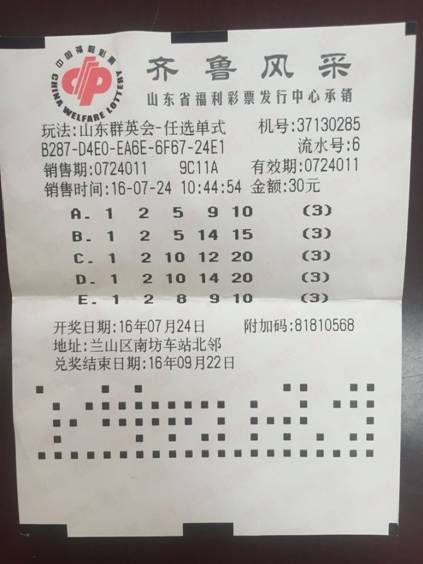 探索新群英会开奖走势图，数字背后的奥秘与乐趣