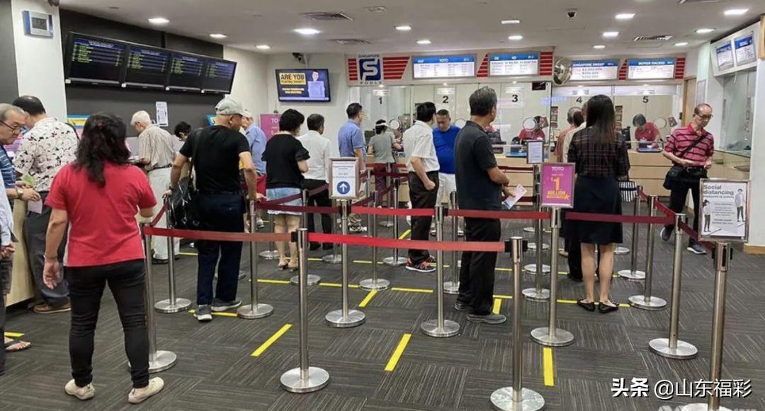 今晚香港马会开奖记录，揭秘赛马的魅力与幸运的瞬间