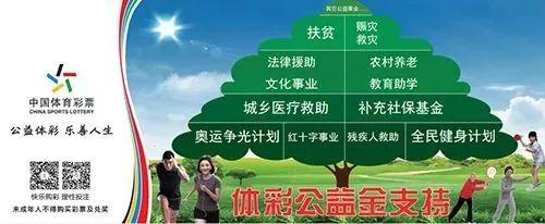 探索与甄选，揭秘哪些竞彩网站值得信赖