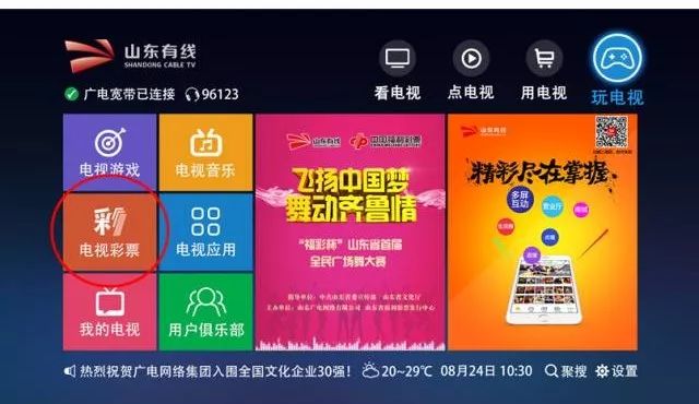 山东福利彩票兑奖规则详解，从基础到进阶的全面指南