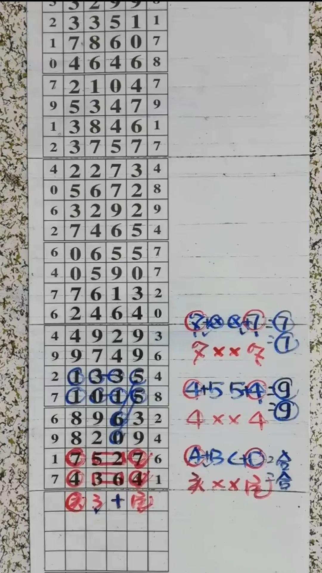 试机号揭秘