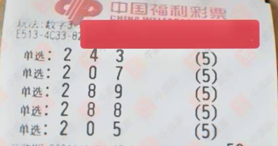 3D走势图，解锁排列三的奥秘与魅力