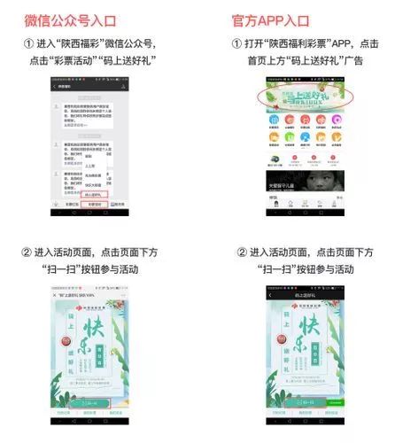 揭秘双色球精准预测的真相——理性对待彩票，拒绝100%彩宝贝