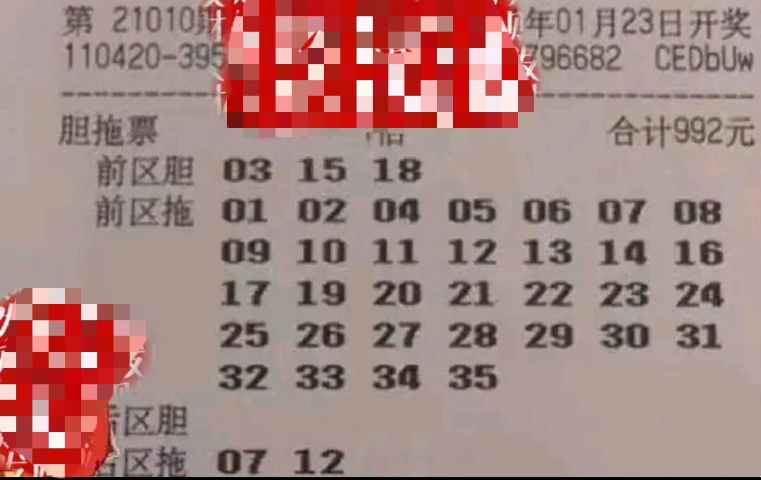 2019年双色球第45期开奖结果揭晓，幸运数字点亮梦想之光
