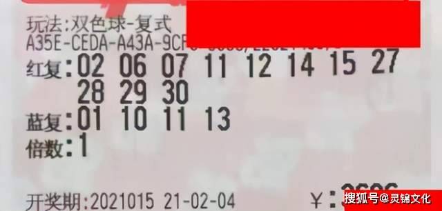 揭秘2013年双色球第96期，梦想与现实的碰撞——一场关于幸运的盛宴