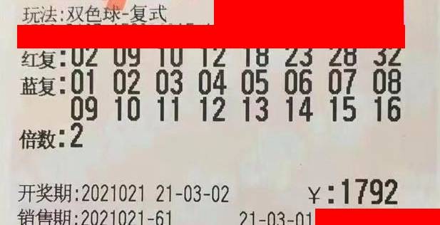 2019年双色球福利彩票第45期开奖揭晓，幸运数字背后的故事与期待