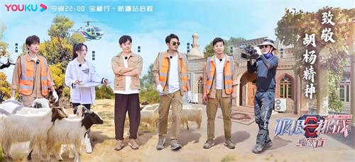 浙江福彩网快乐8，公益与梦想的双重舞台