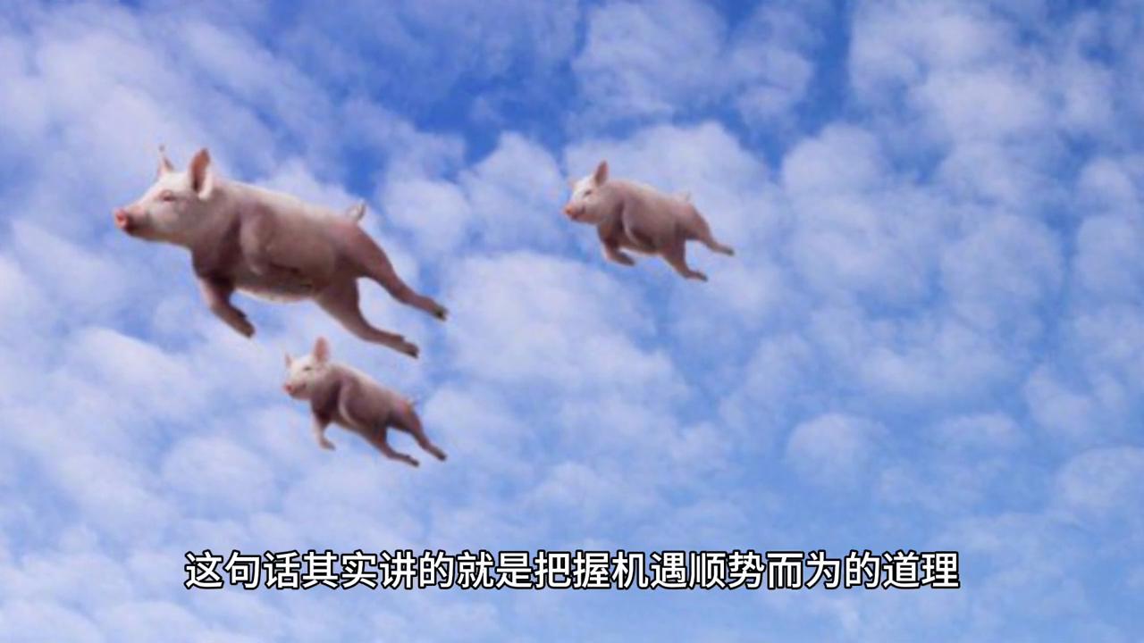 2043年，回溯与展望—香港历史开奖记录65期的启示2024香港历史开奖记录65期555ham