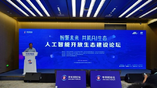 探索智慧火花，华岳论坛—网络时代的思想盛宴华岳论坛网址是什么