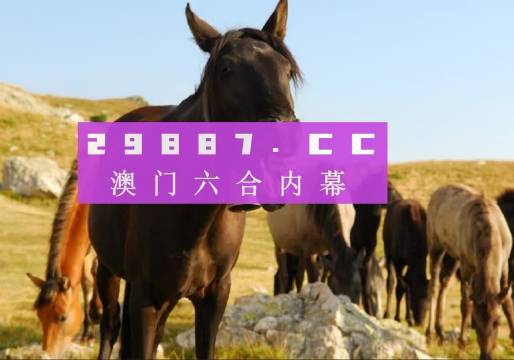 澳门管家婆资料正版大全，揭秘背后的真相与风险警示