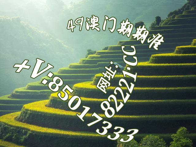 白姐图库—数字时代的视觉宝藏白姐统一彩色印刷图库