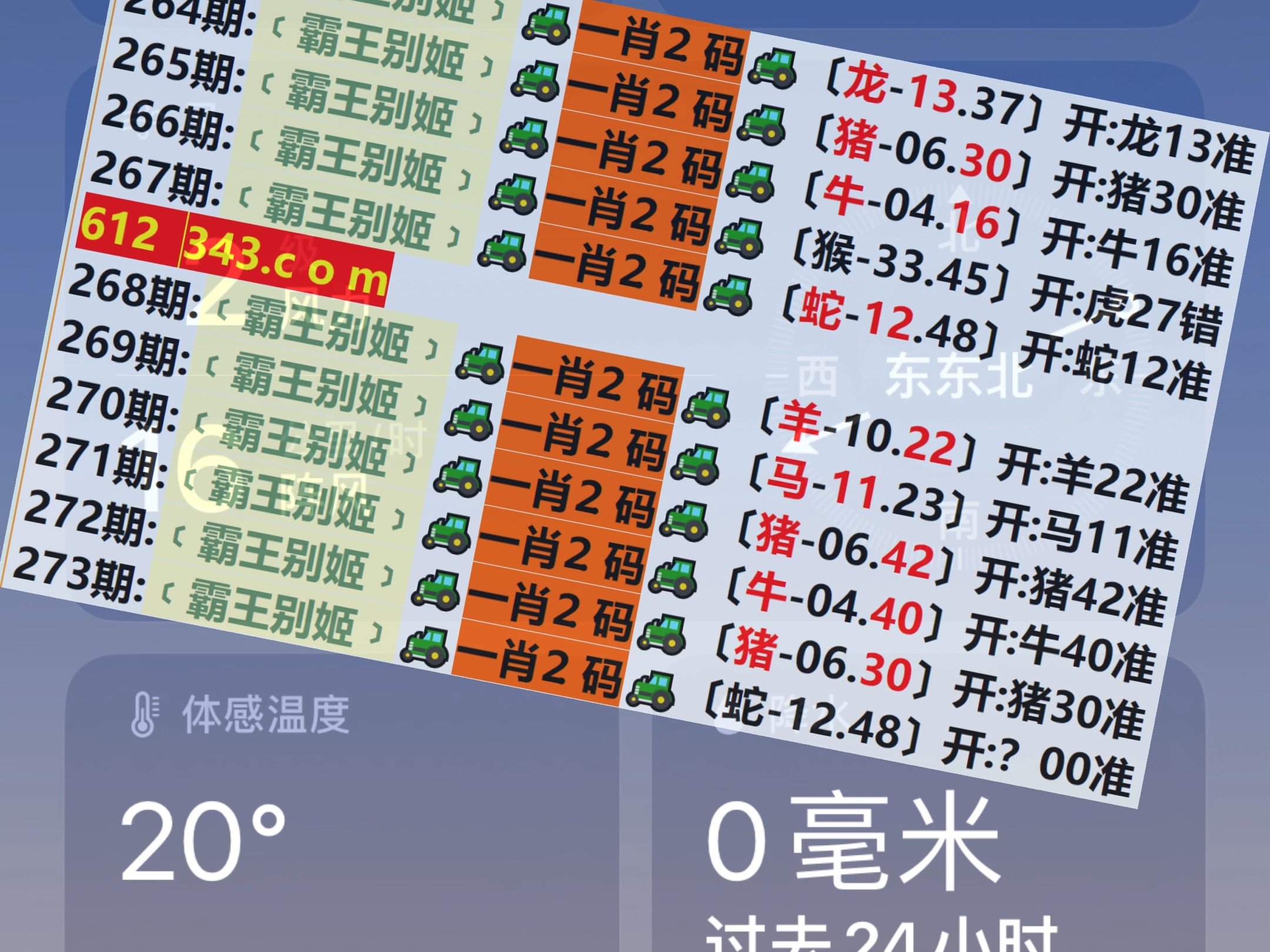 2048，新奥历史开奖记录的探索与展望—第13期2024新奥历史开奖记录28期3D