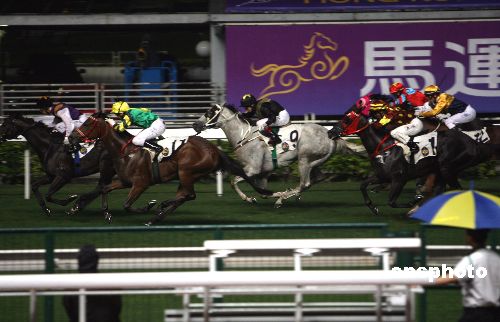 2031年马会正版香港资料大全，探索未来赛马的智慧与激情2021年正版马会香港资料大全一