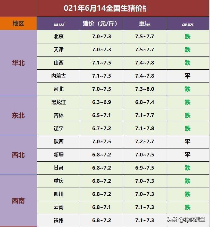 2019年一码一号百发百分，数字时代的预测与现实2021一码一肖100准确澳门已公布/美团/京东