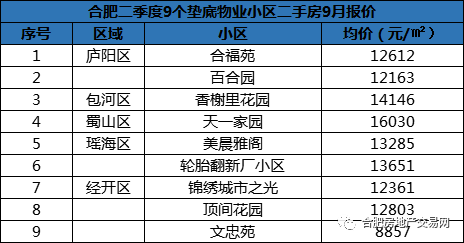 探寻新奥全部开奖记录的奥秘，一场数字与概率的游戏新澳历史开奖记录查询结果
