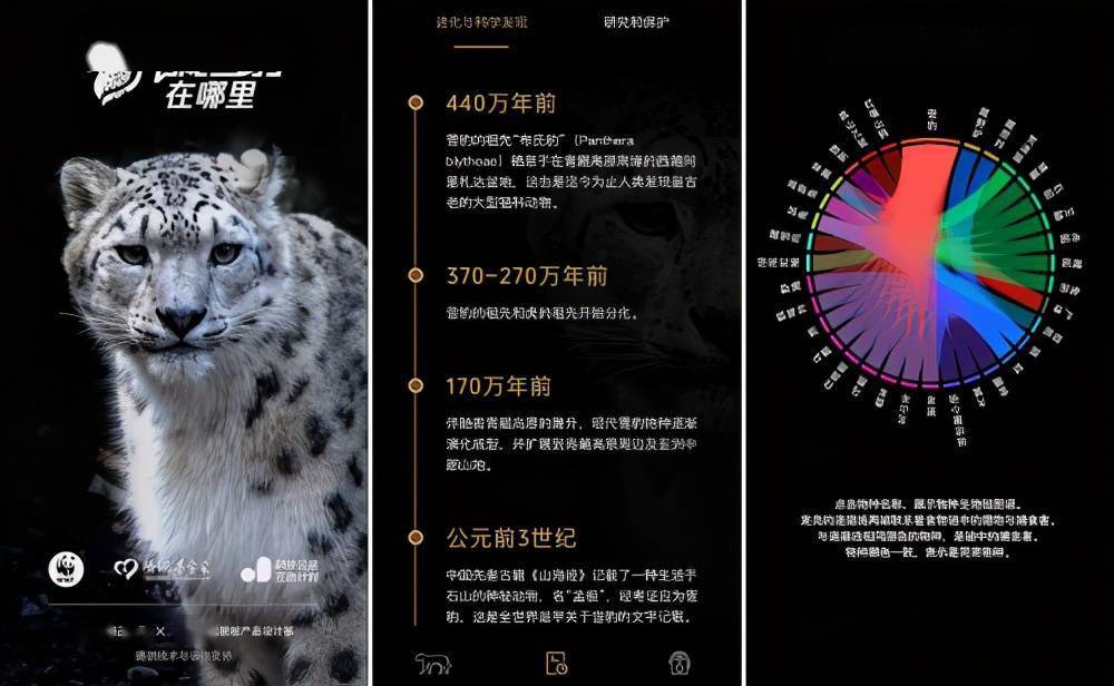 探索数字世界的奥秘，红五图库、天牛与神秘的天97654红五图库天牛图库天97654彩吧图裤