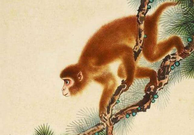 今晚四不像生肖图，探寻神秘与趣味的完美融合今晚四不像生肖图今期玩法