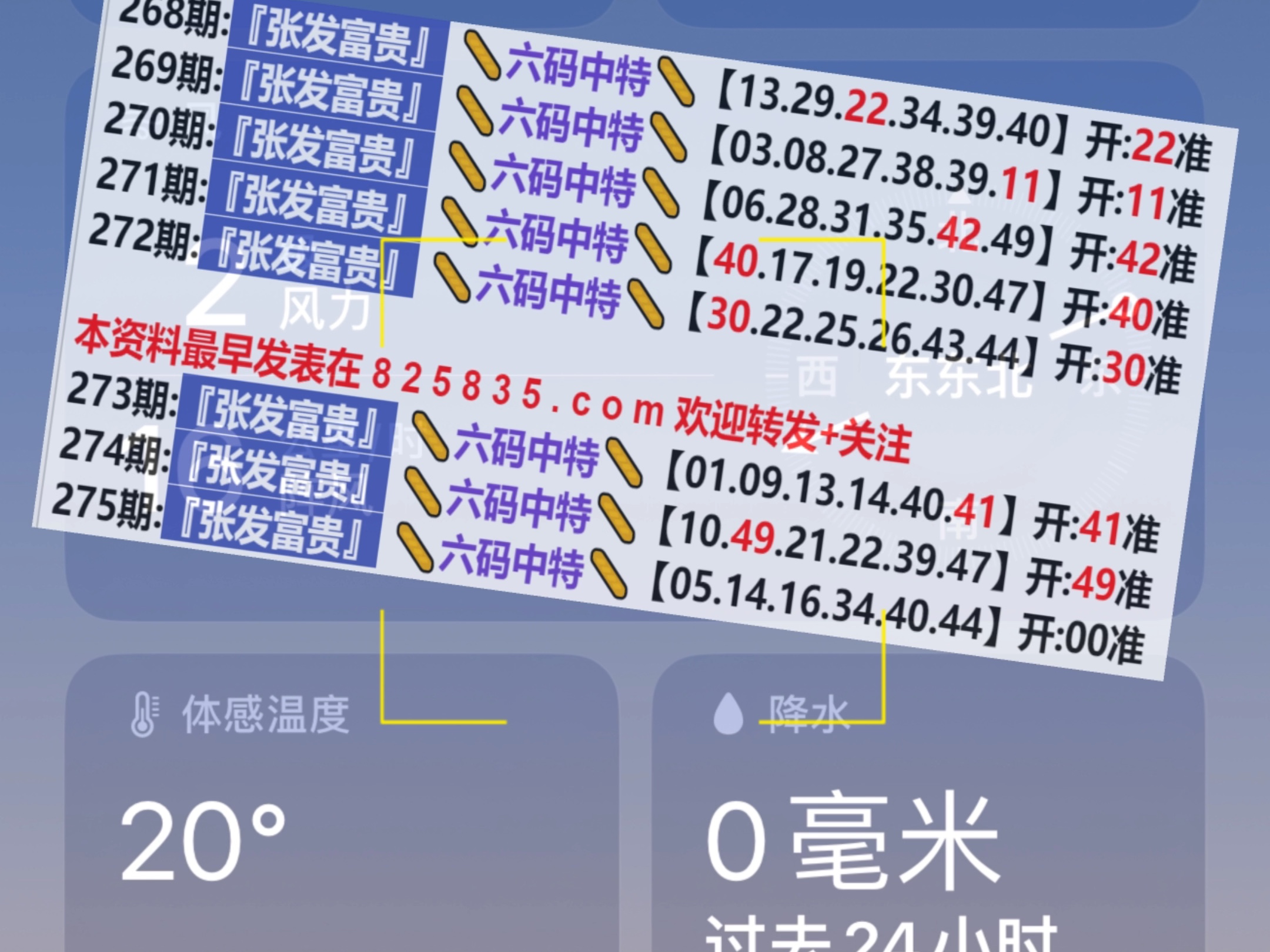 2049，新奥历史开奖记录的辉煌篇章—第138期回顾与展望2025年新奥开奖记录查询结果