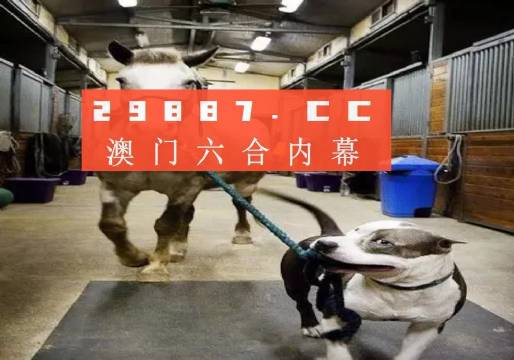 澳门今晚一肖必中，揭秘背后的真相与风险今晚一肖一码澳门一肖287期动画片