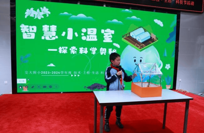 精选二四六，天天好彩头，探索幸运的奥秘与生活的智慧精选二四六天天彩头挂牌