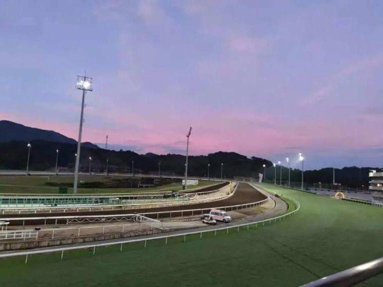 2019香港马会全年资料大全,精彩赛事与辉煌成就回顾香港2021年马会资料大全