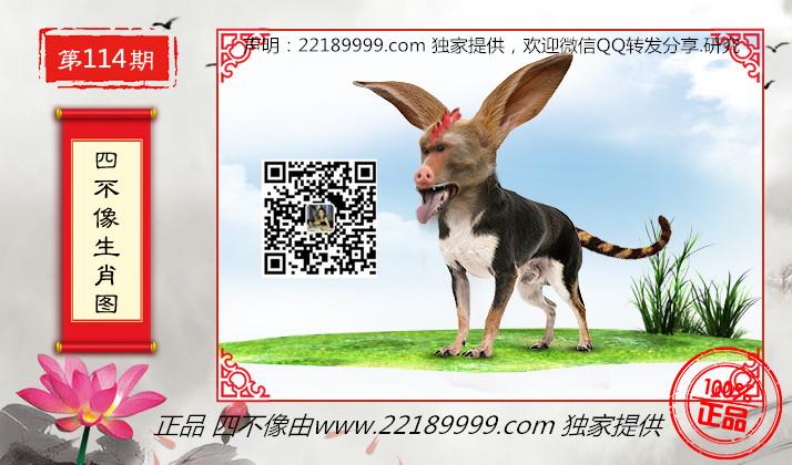 今天的特马图,探寻四不像的神秘面纱今期特肖四不像彩图