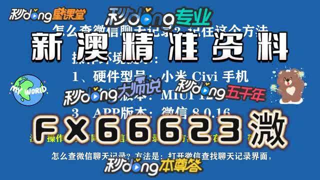 探索新澳门官方网站，解锁精彩，从正确网址开始新澳门国际网页