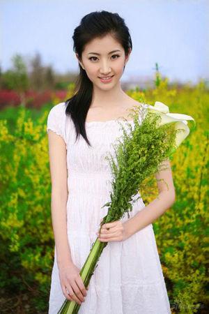 澳门彩生肖走势图，综合版大全汇总的深度解析澳门12生肖走势