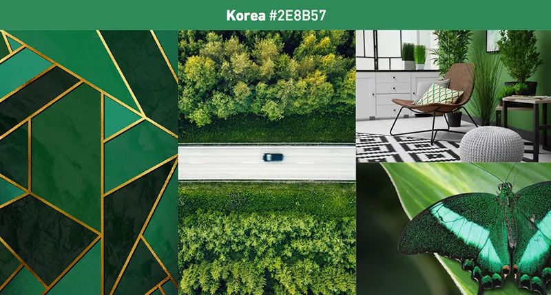 探索新澳门彩204年开奖走势图，揭秘未来趋势与最新动态澳门开奖4238开奖记录