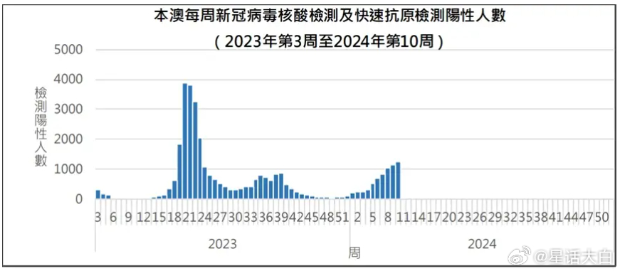 澳门新历史开奖记录,深度解析与趋势洞察新澳门开奖结果2020+开奖记录_