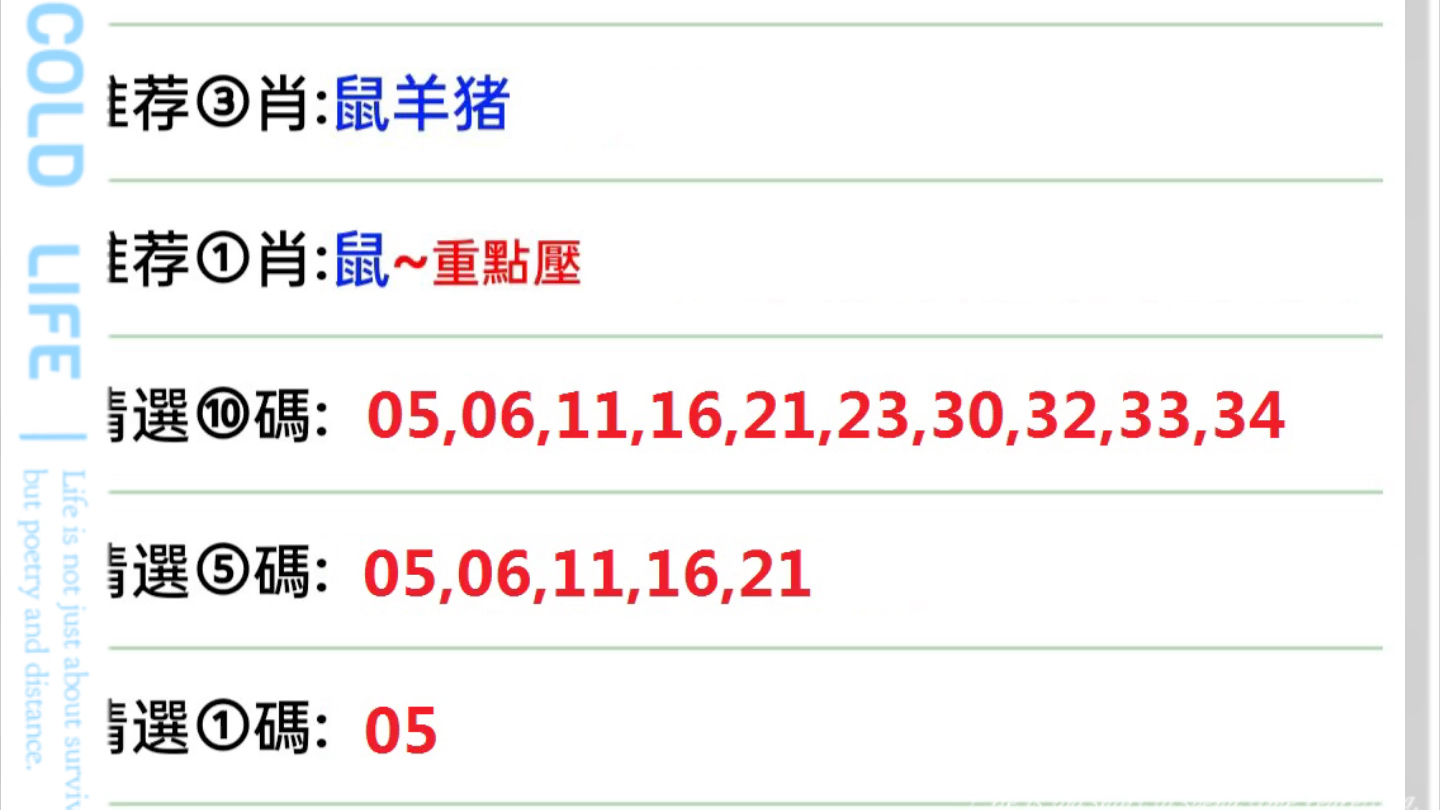 澳门彩今日开奖，揭秘生肖奇缘新澳门今天开奖结果是什么生肖呢