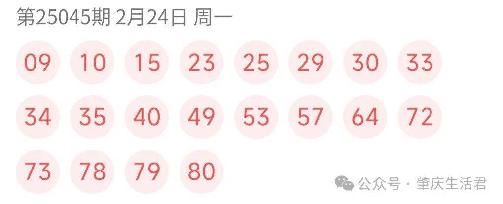 2043年新澳门今晚开奖结果号码,理性看待彩票与娱乐生活2024年新澳门今晚开奖结果号码查询